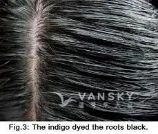 240209095052_Hair-Dyed with indigo-s.jpg